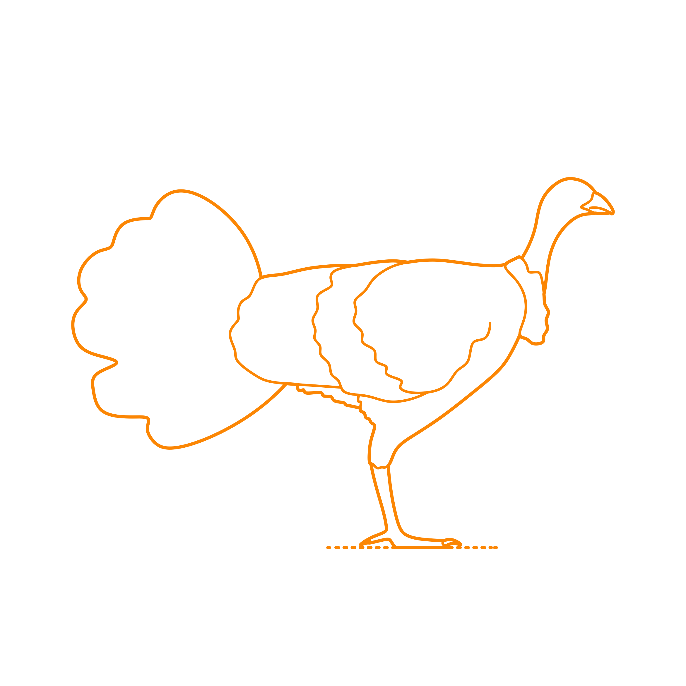 Animals Gamefowl Australian Brushturkey Contour Svg Vector Free Vectors